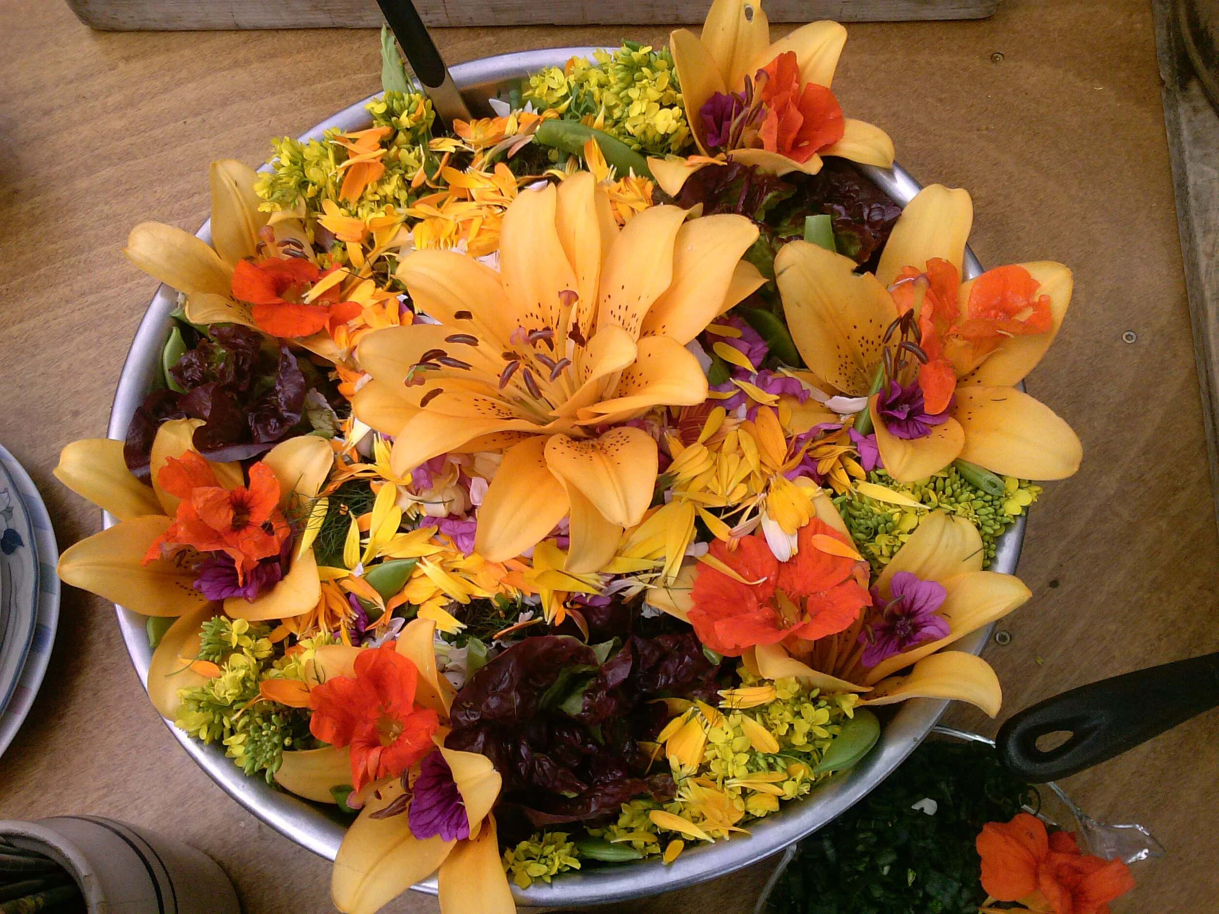 Edible Flowers