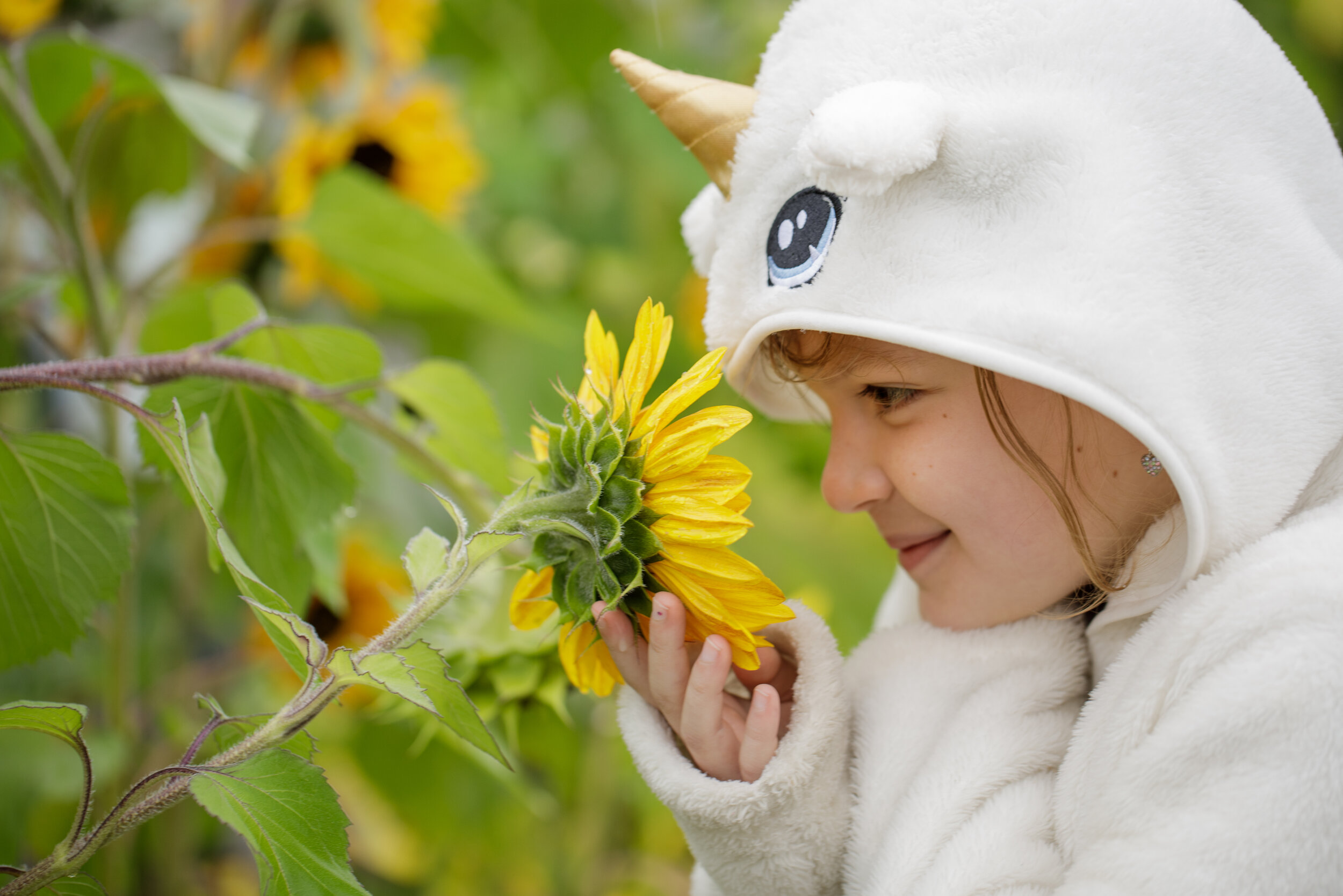 Critters, Creativity, and Kids in Community Gardens