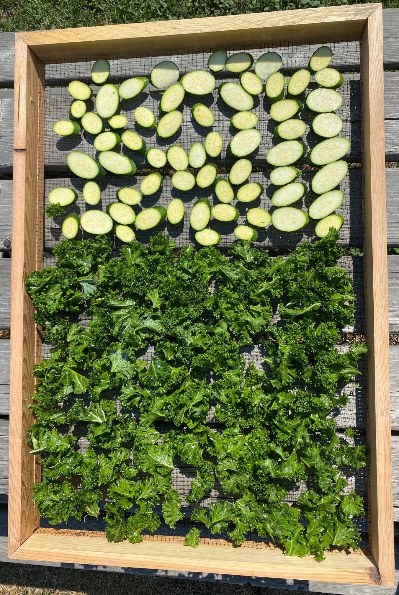 How to Dehydrate Fruit Outside Without a Solar Dehydrator - Zero