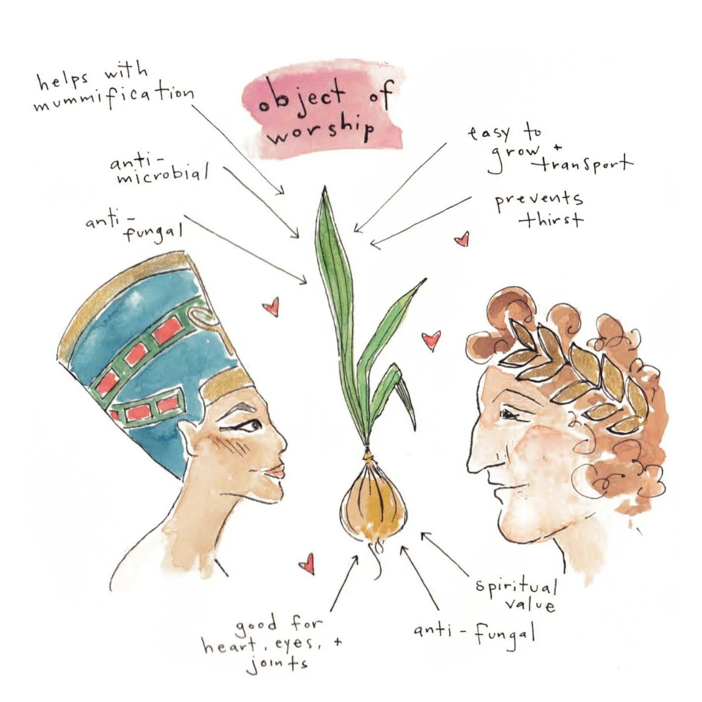 The Journey of the Onion