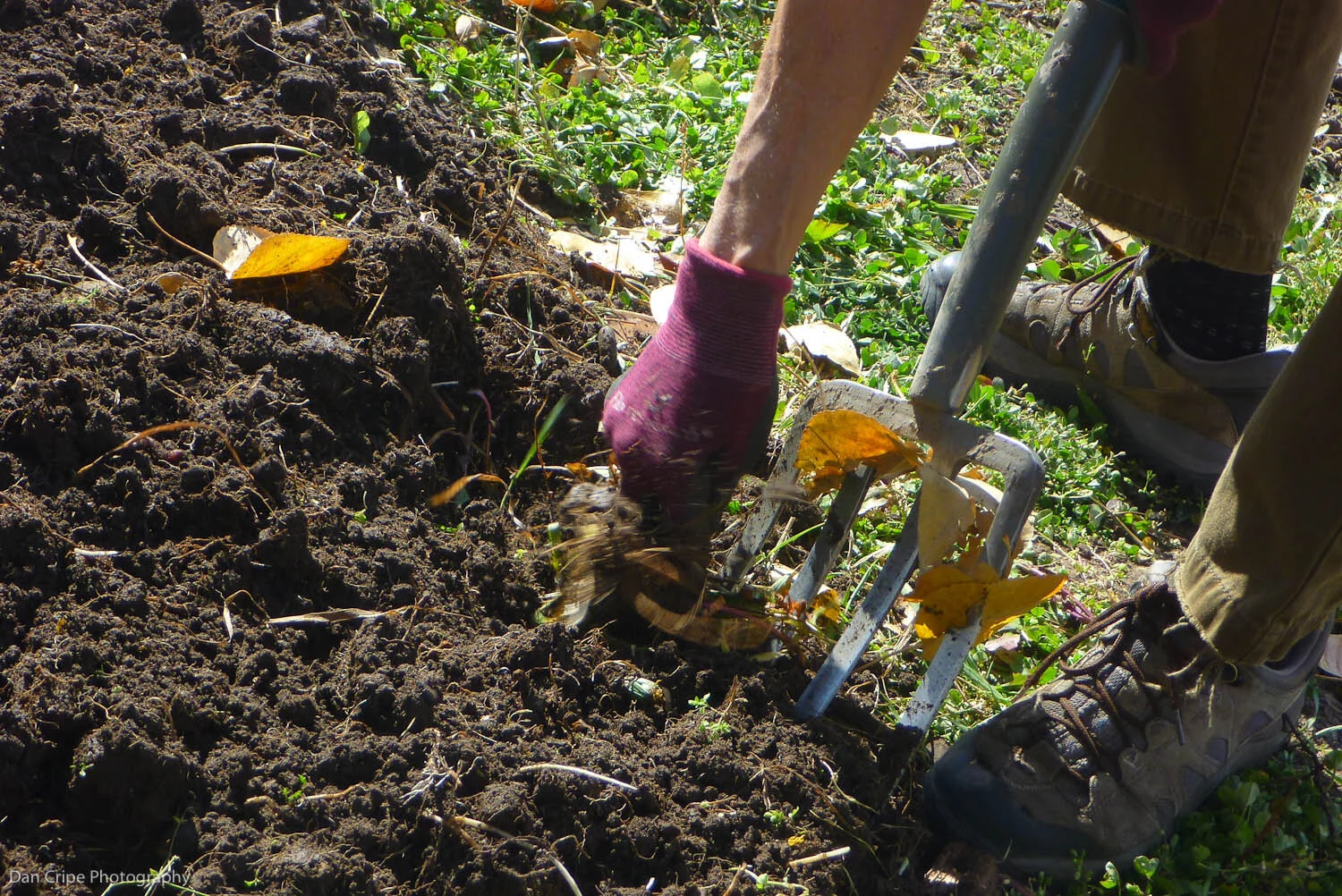Good soil is typically a rich dark color with lots of organic matter.