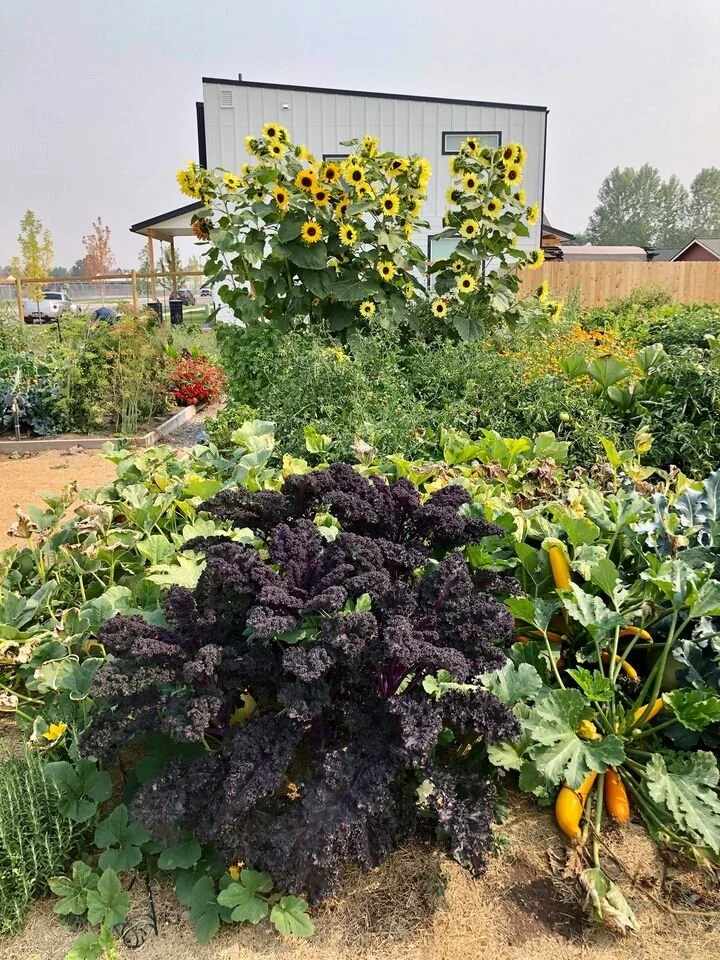 Roots Off Reserve Community Garden Orientation