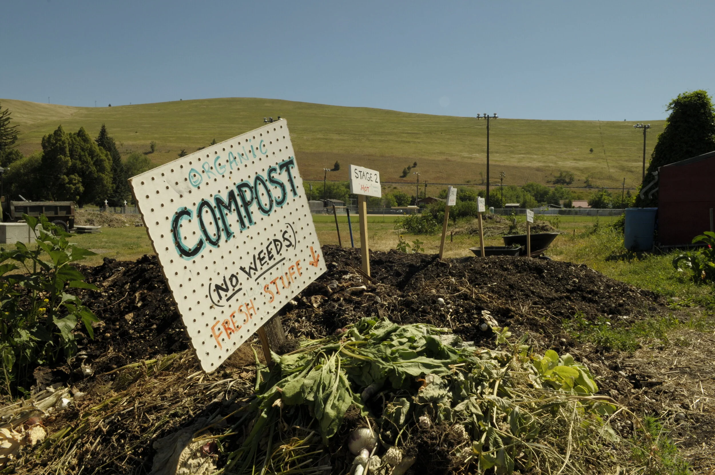 Compost: What is it and why you should care