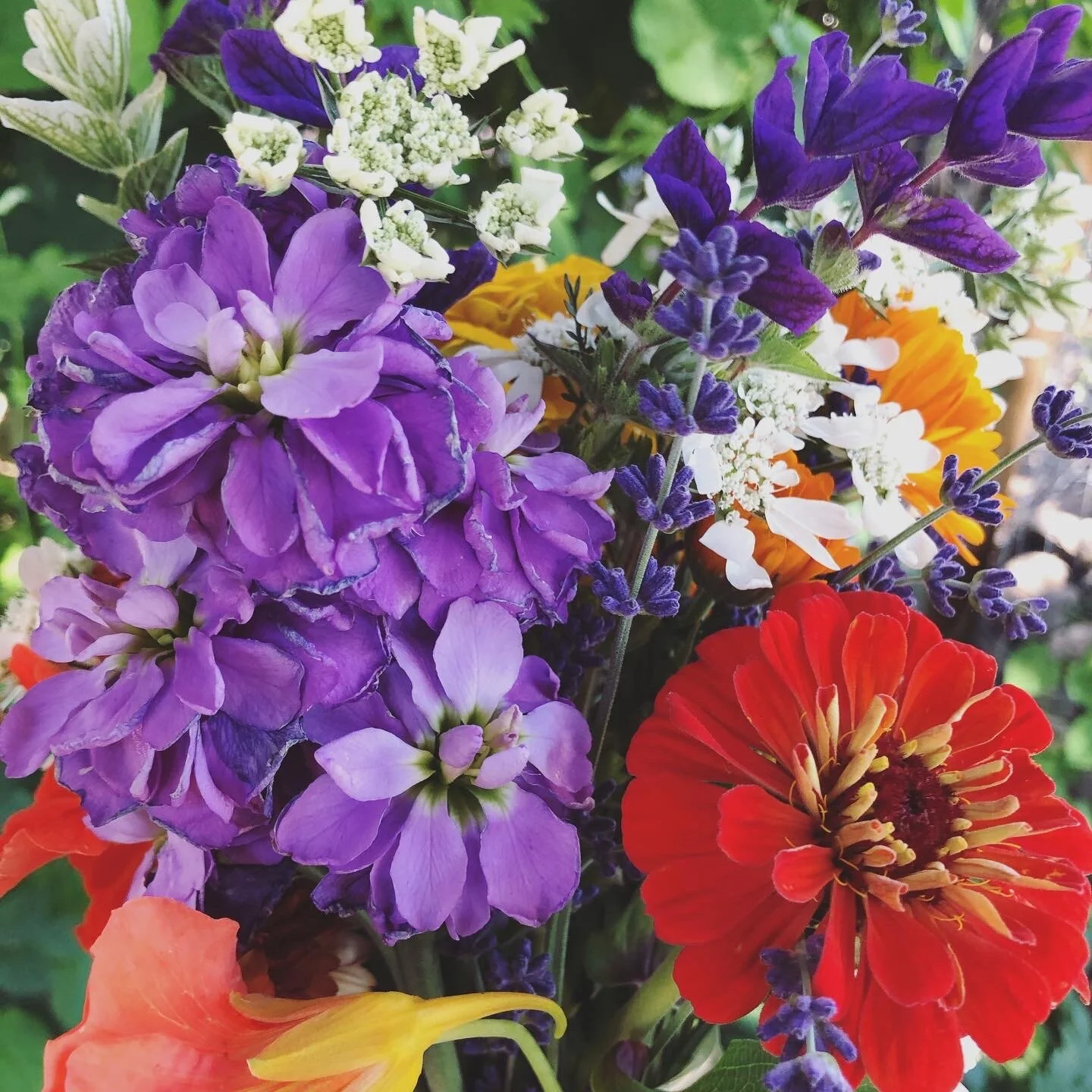 Flower Arranging Tips and Tricks