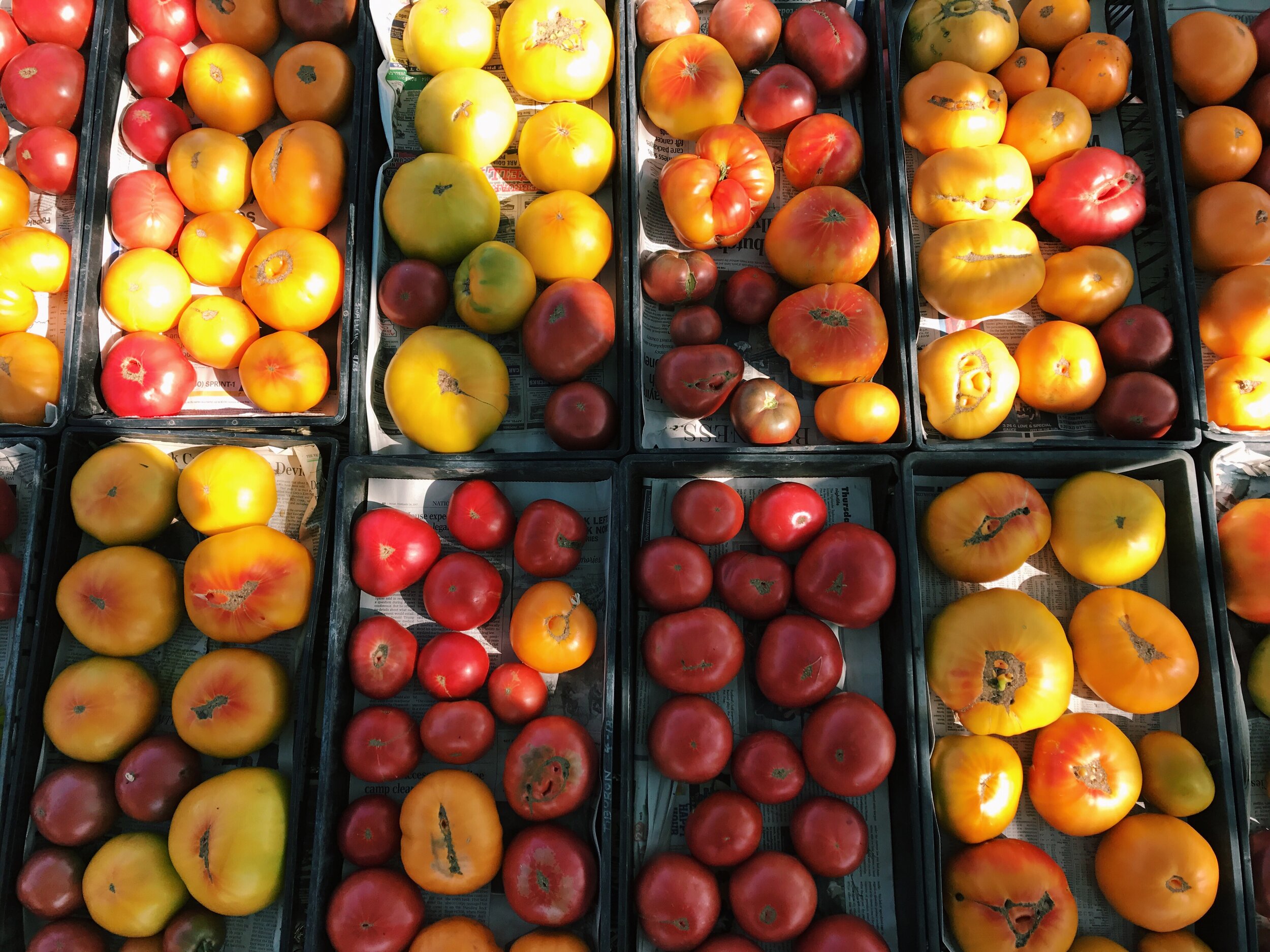 Four Ways to Preserve Tomatoes