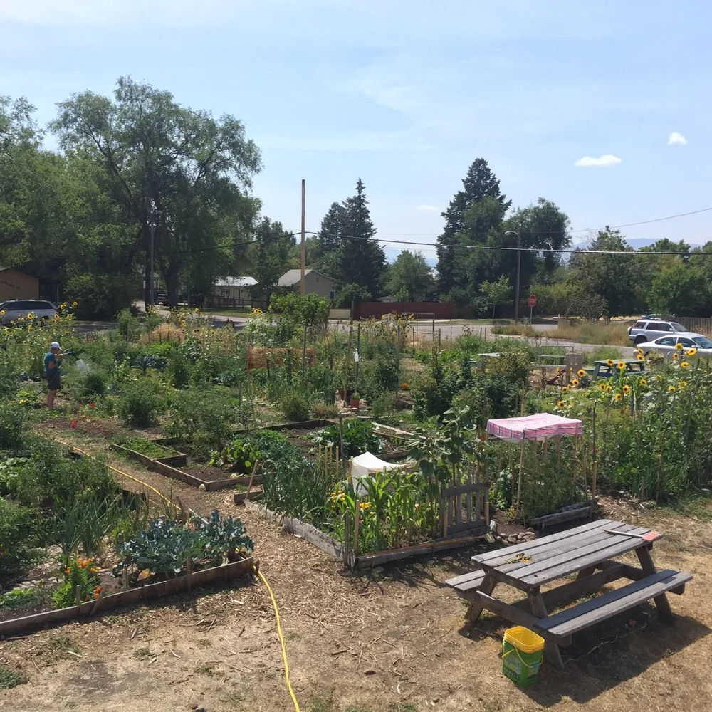 Community Garden List — Garden City Harvest