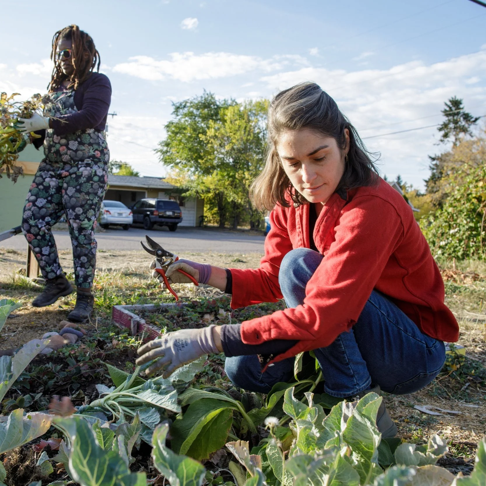 Garden City Harvest's Harvest Guide