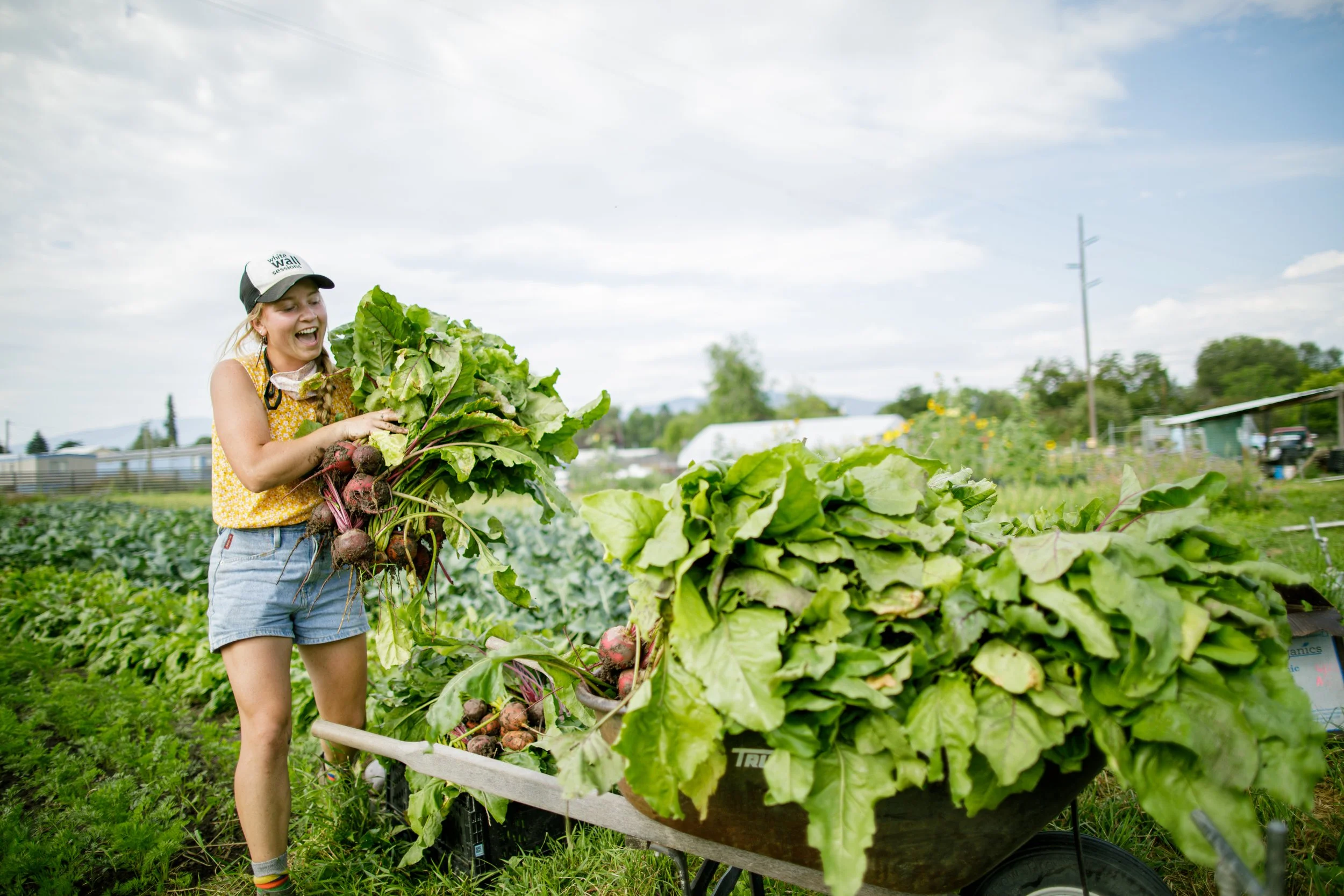 Planning Your Garden: Maximizing Space and Harvest