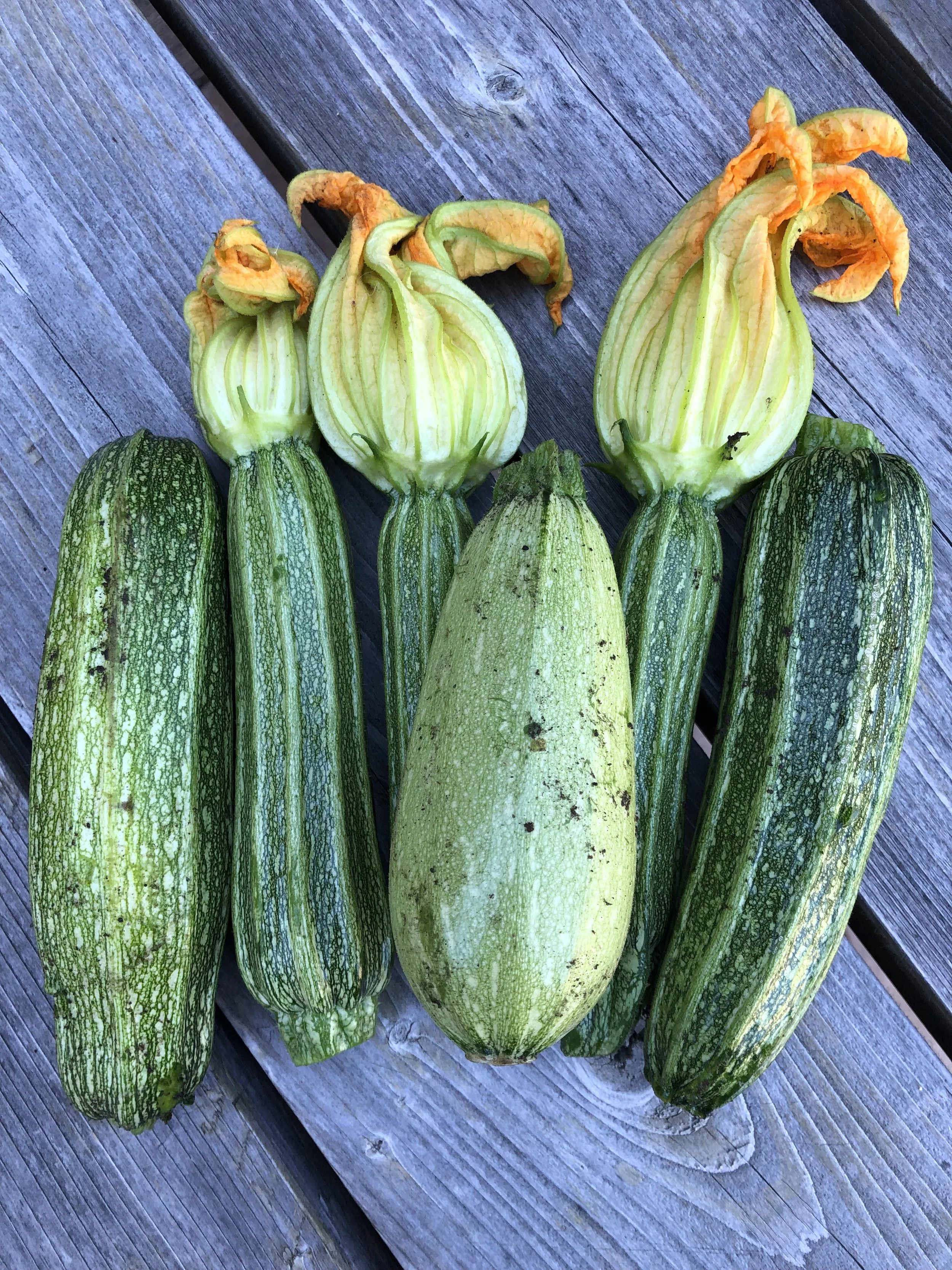 RECIPE: Zucchini (four amazing ways)