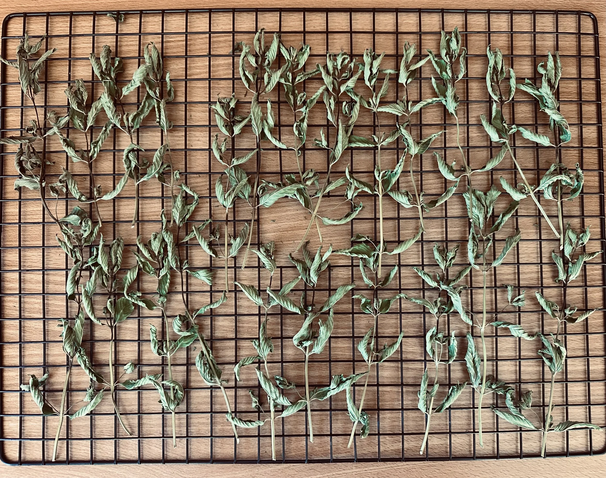 Seasonal Kitchen Skills: Freezing &amp; Dehydrating