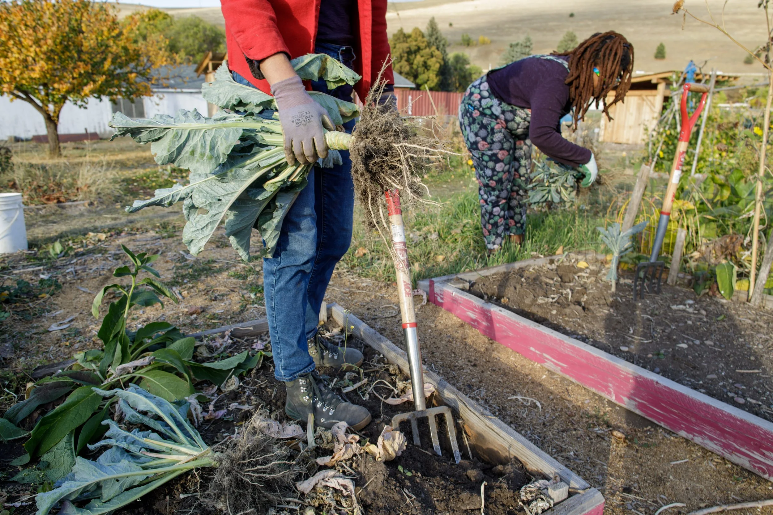 Community Gardens Closing Day