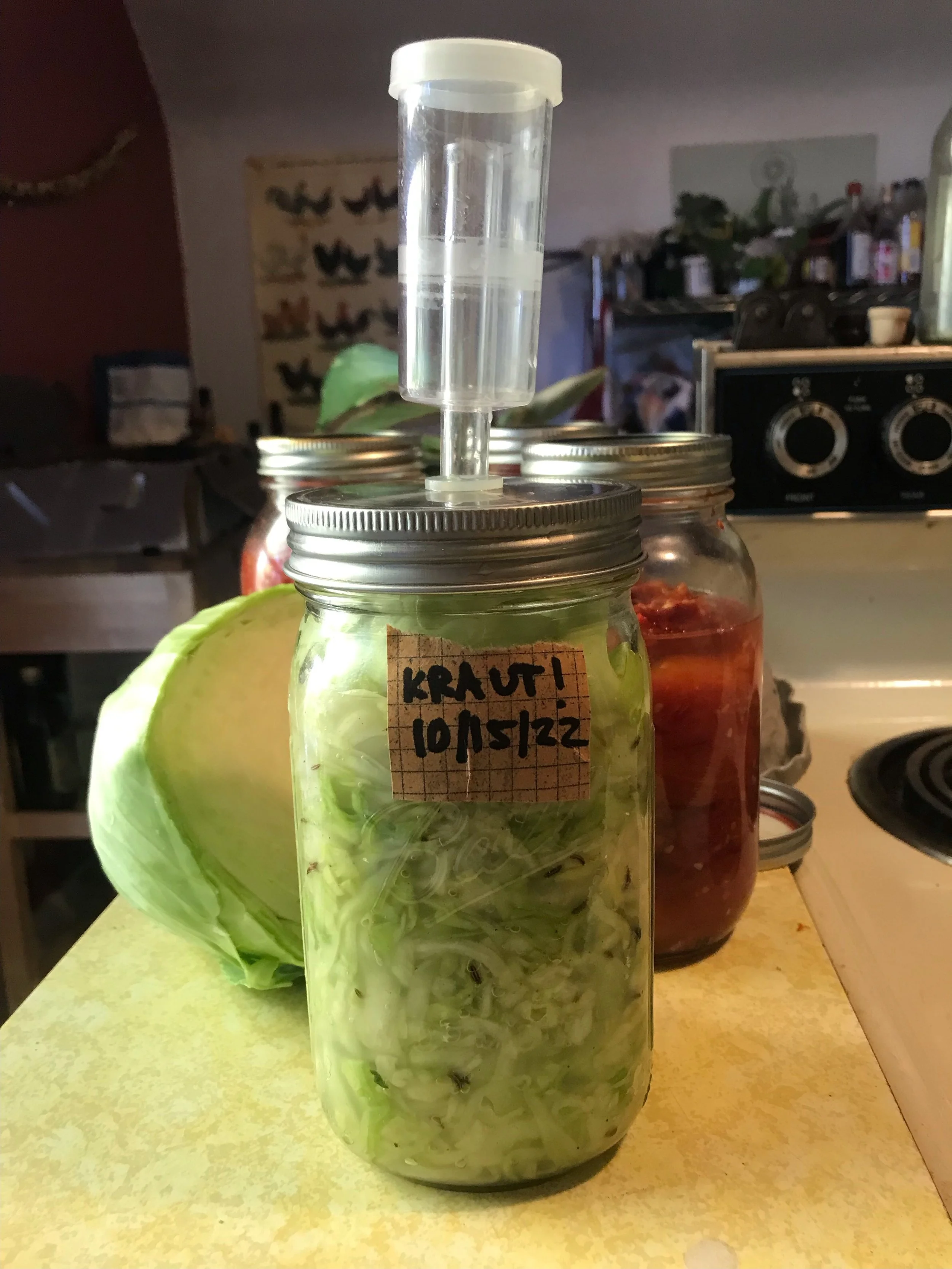 Long Term Storage Solutions: Fermentation