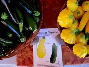 Some More About Zucchini