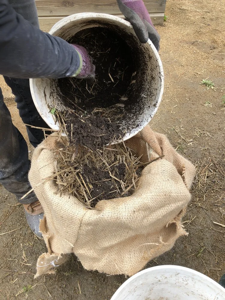 Compost Tea