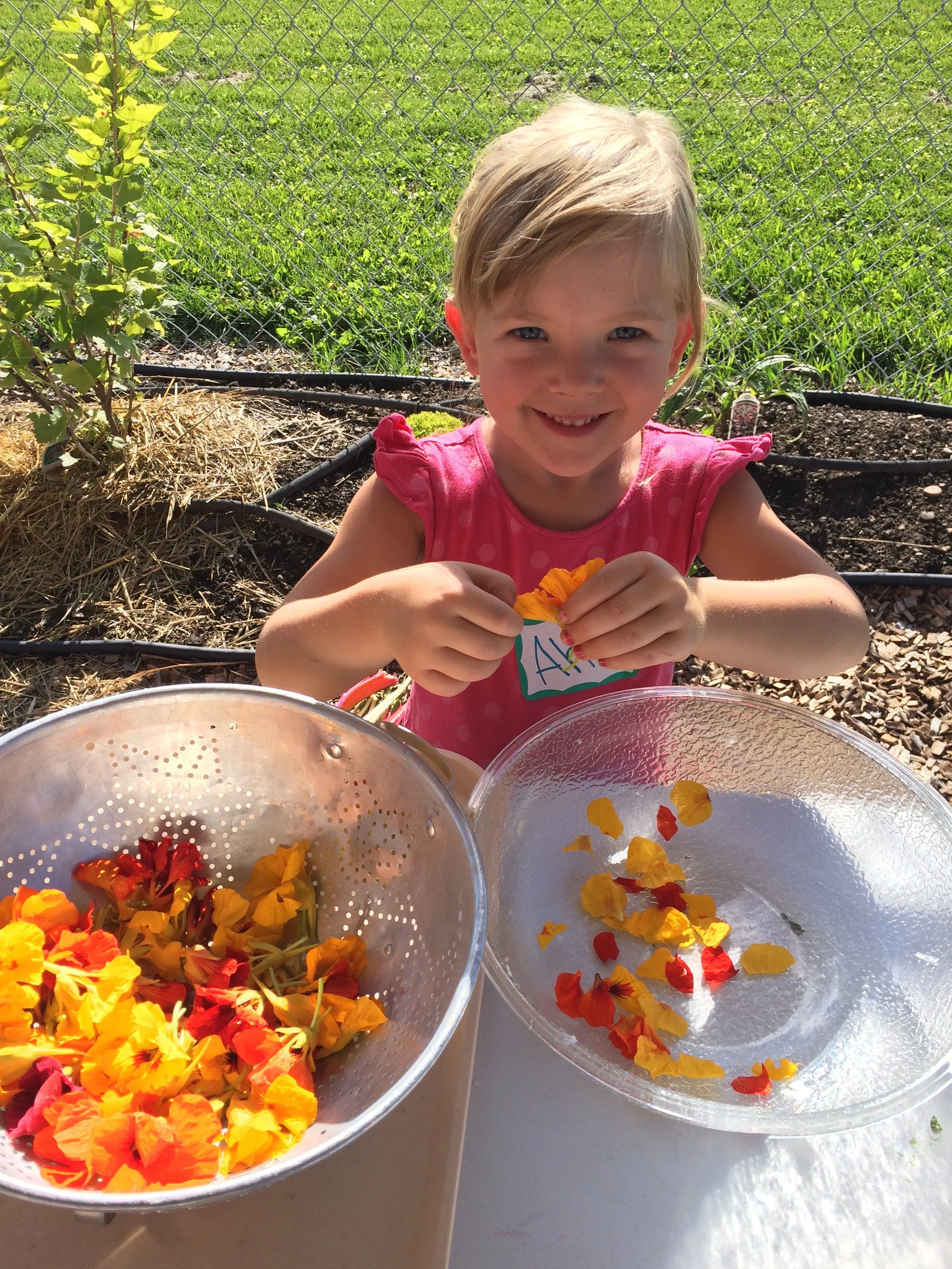 School lunches: 5 ways to veggie it up.