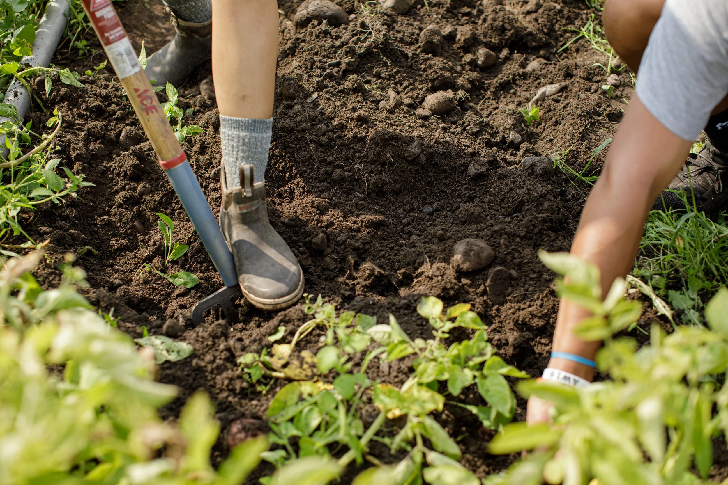Workshop: Soil Fertility