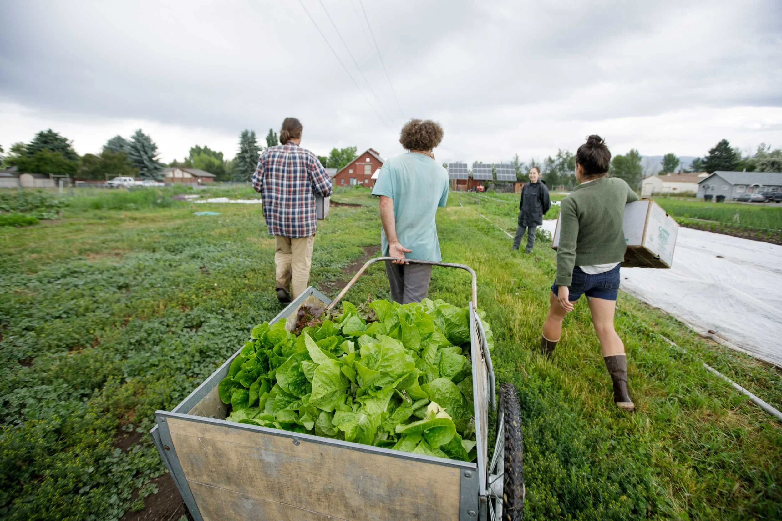 River Road Farm Tour - June