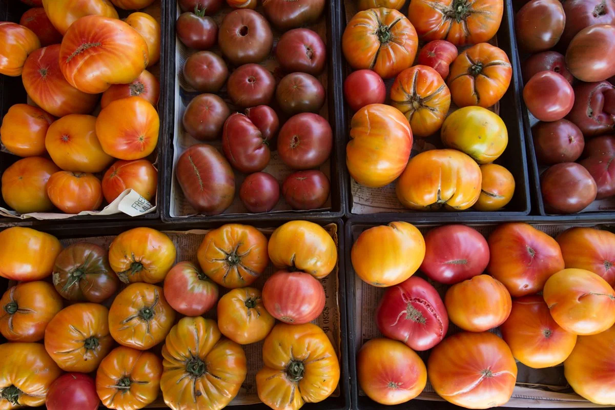 Tomato Gardening Made Easy: Varieties, Soil, and Care