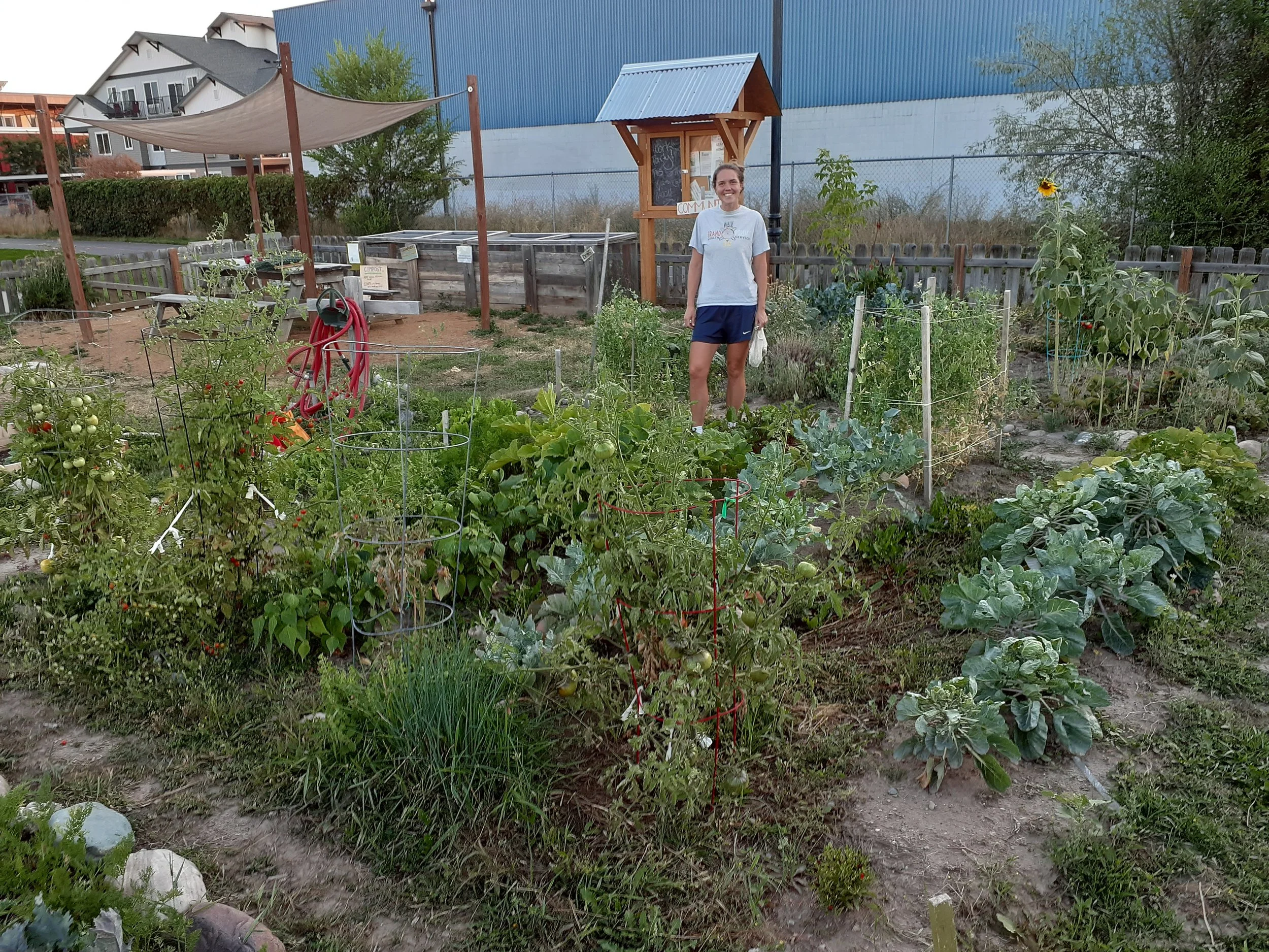 casey fitchett milky trail cg 2024 plot.jpg