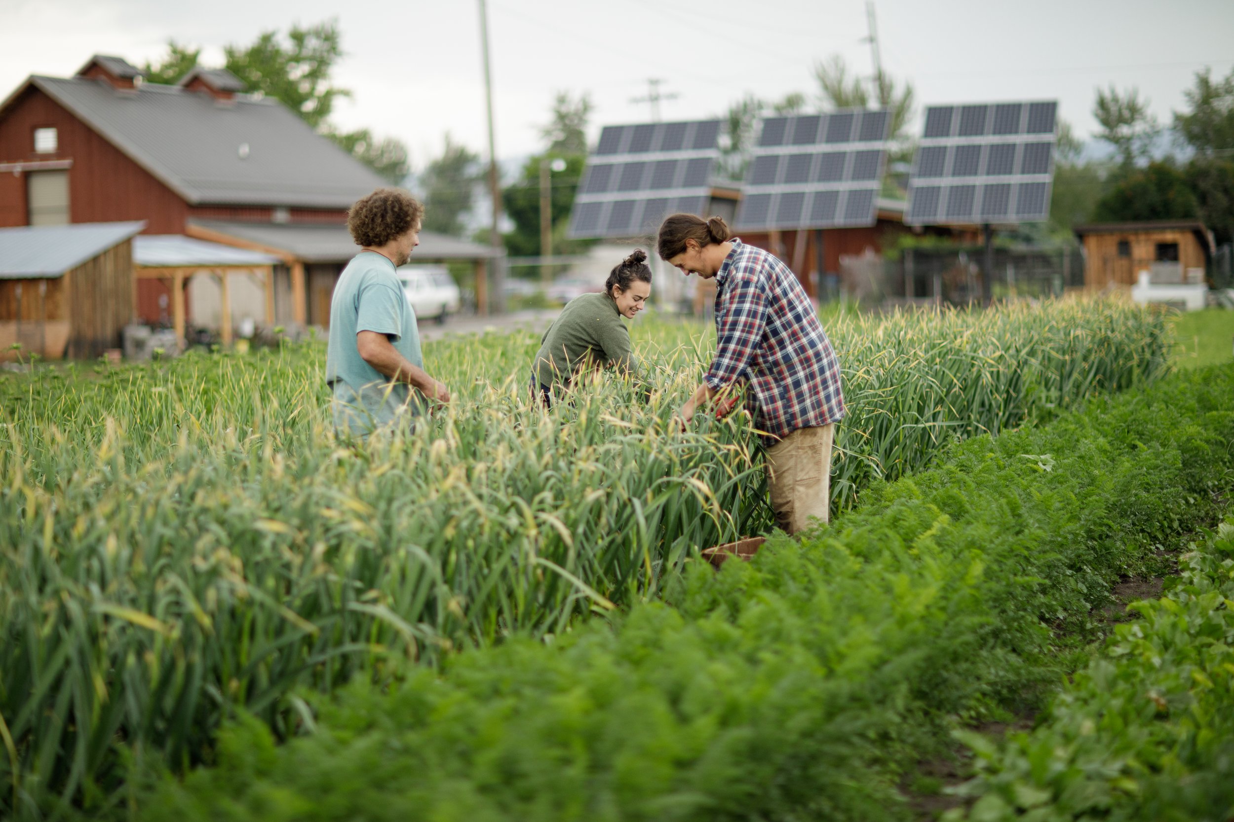 River Road Farm Tour
