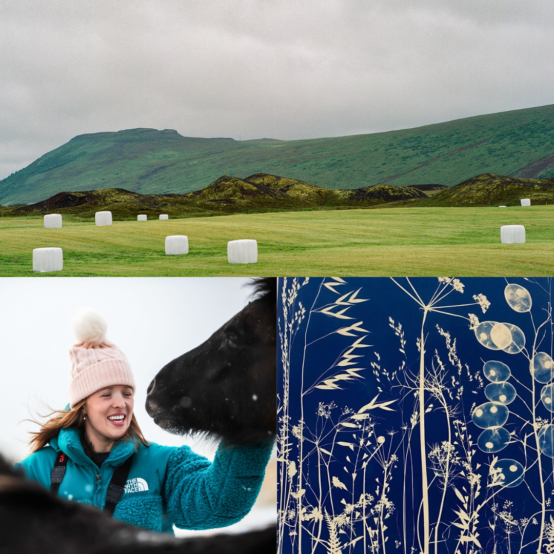 Artist Presentation: Nikki Culley
