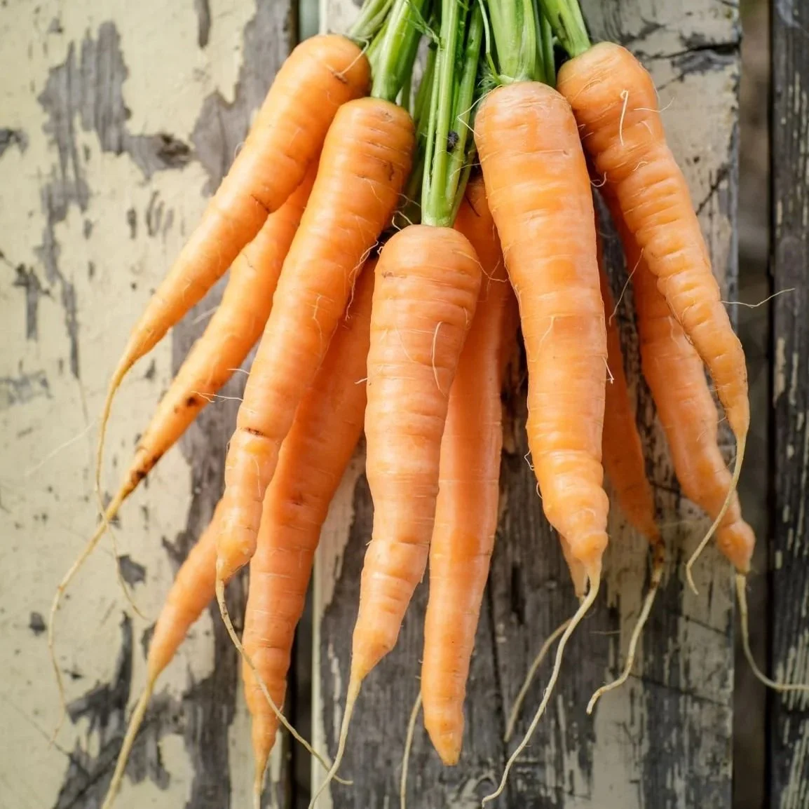 Veggie Stock Up Sale at River Road Farm