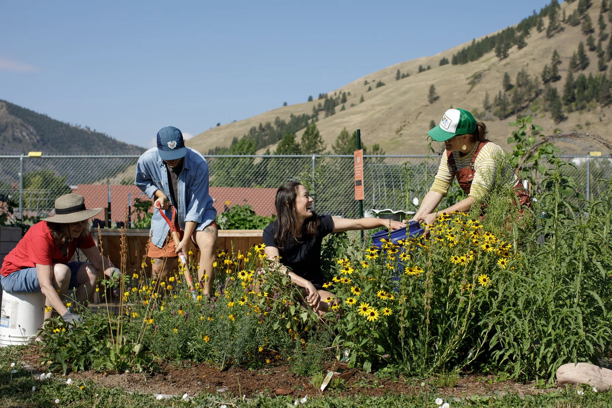 The Great Day of Gardening