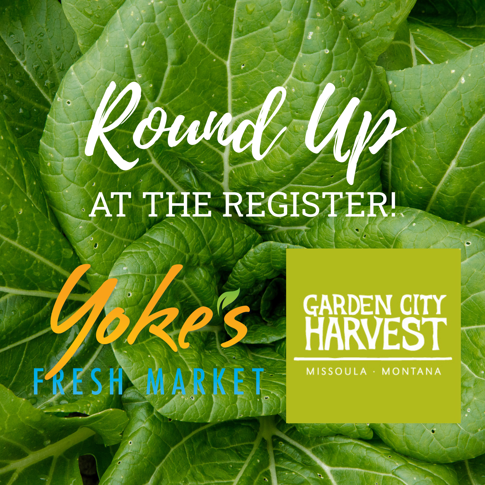 "Round-up" at Yoke's checkout in support of Garden City Harvest