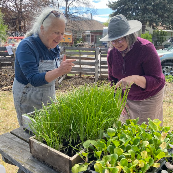 Growing Garden Leaders