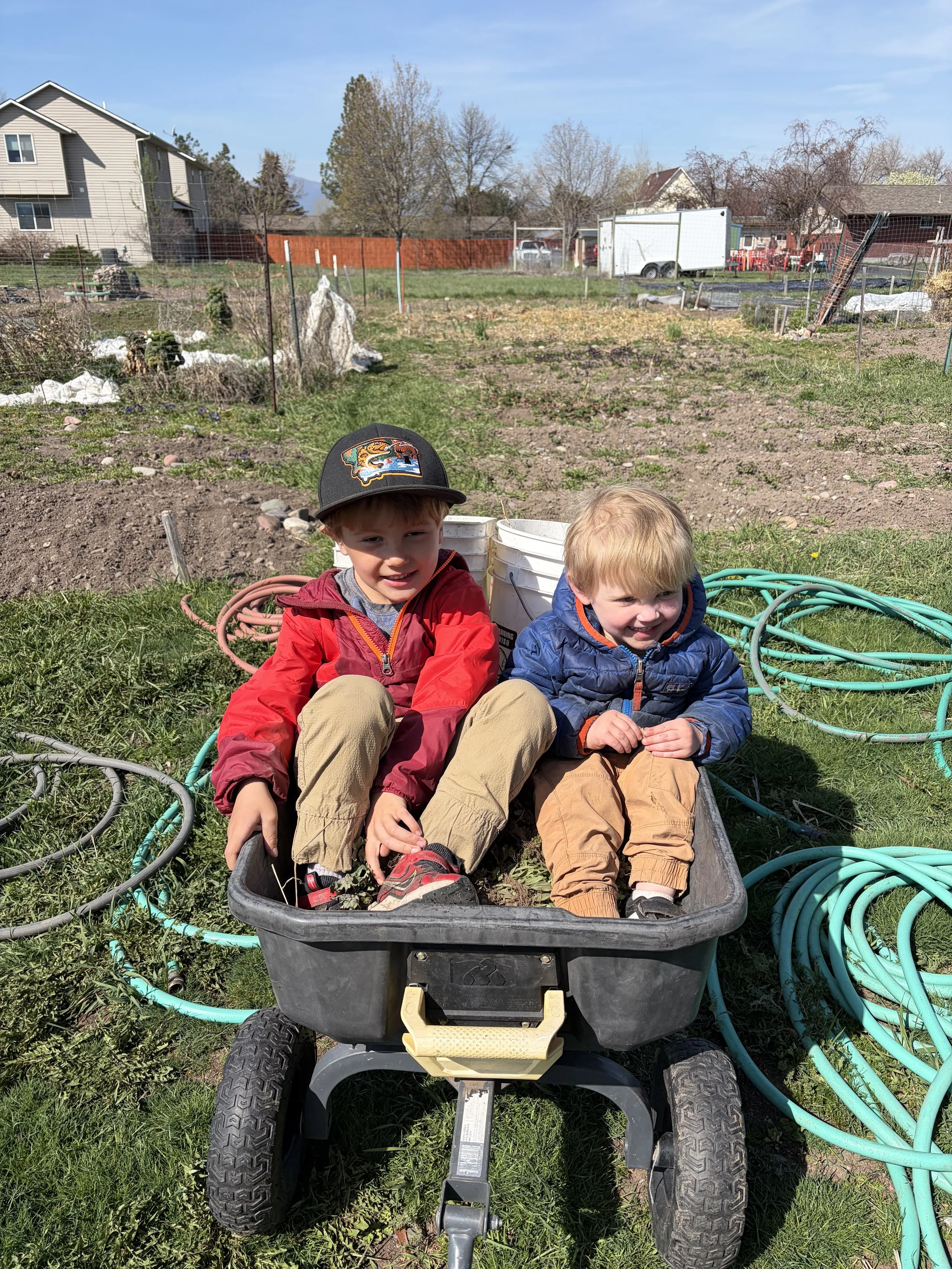 Climate-friendly Actions Gardeners Can Take