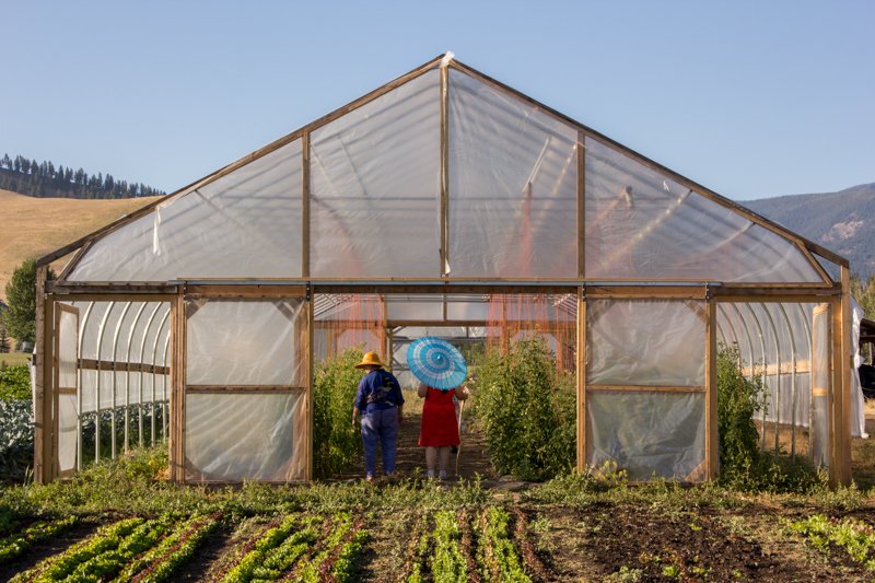 dabneyrobin_farmparty_70.jpg