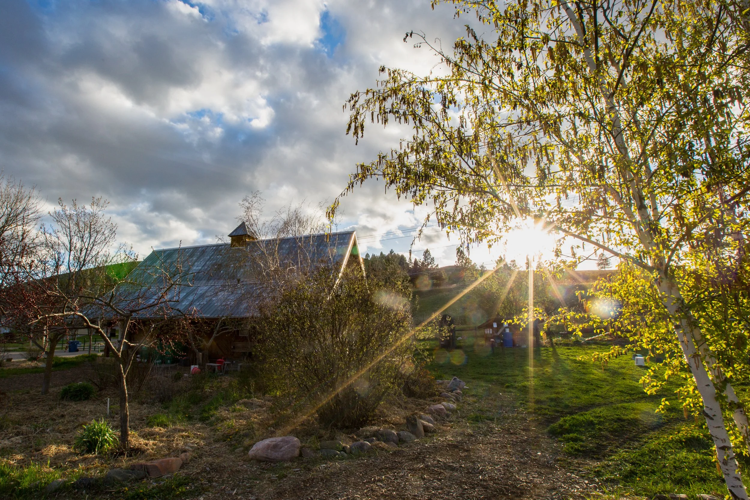 Erika Peterman - PEAS Farm.jpg