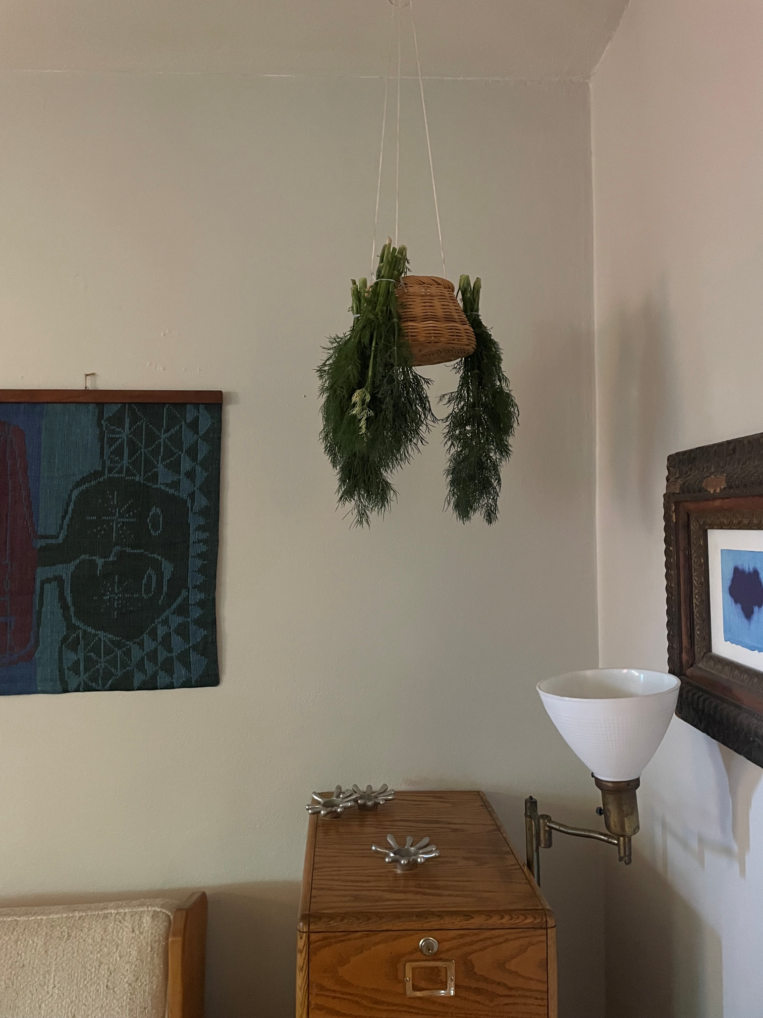 drying_dill.png