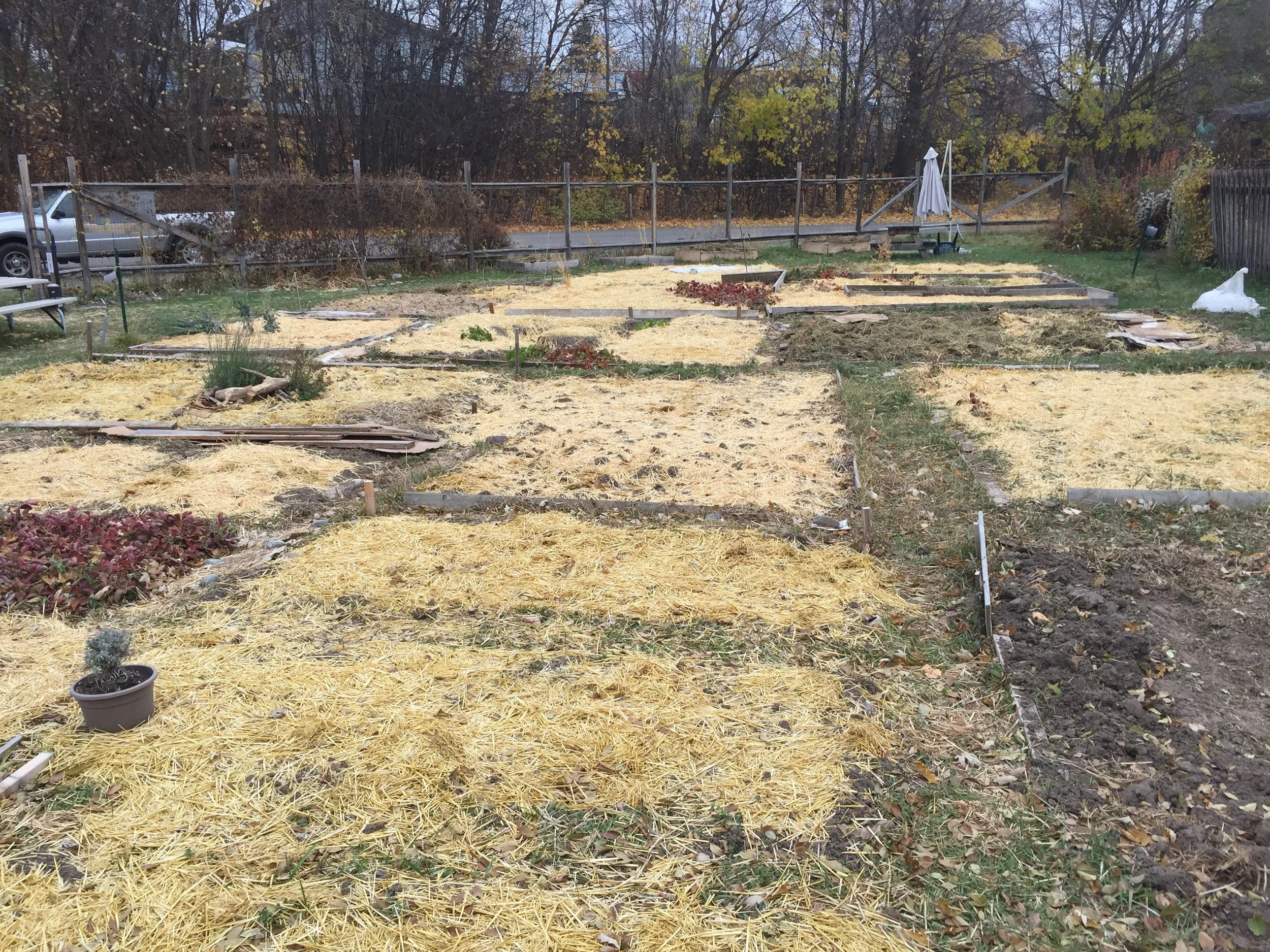 Learning Together: Preparing Your Plot for Winter