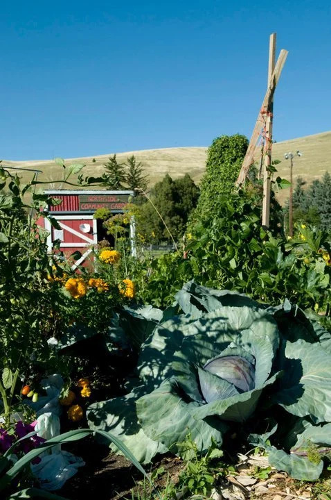 Growing Community: On Our Partnership with Soft Landing Missoula