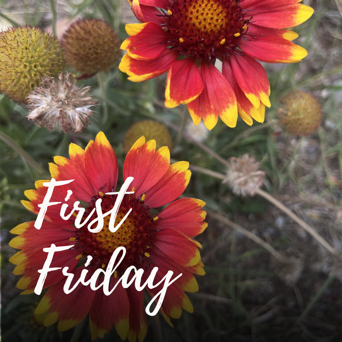First Friday at The Landing at Caras Park