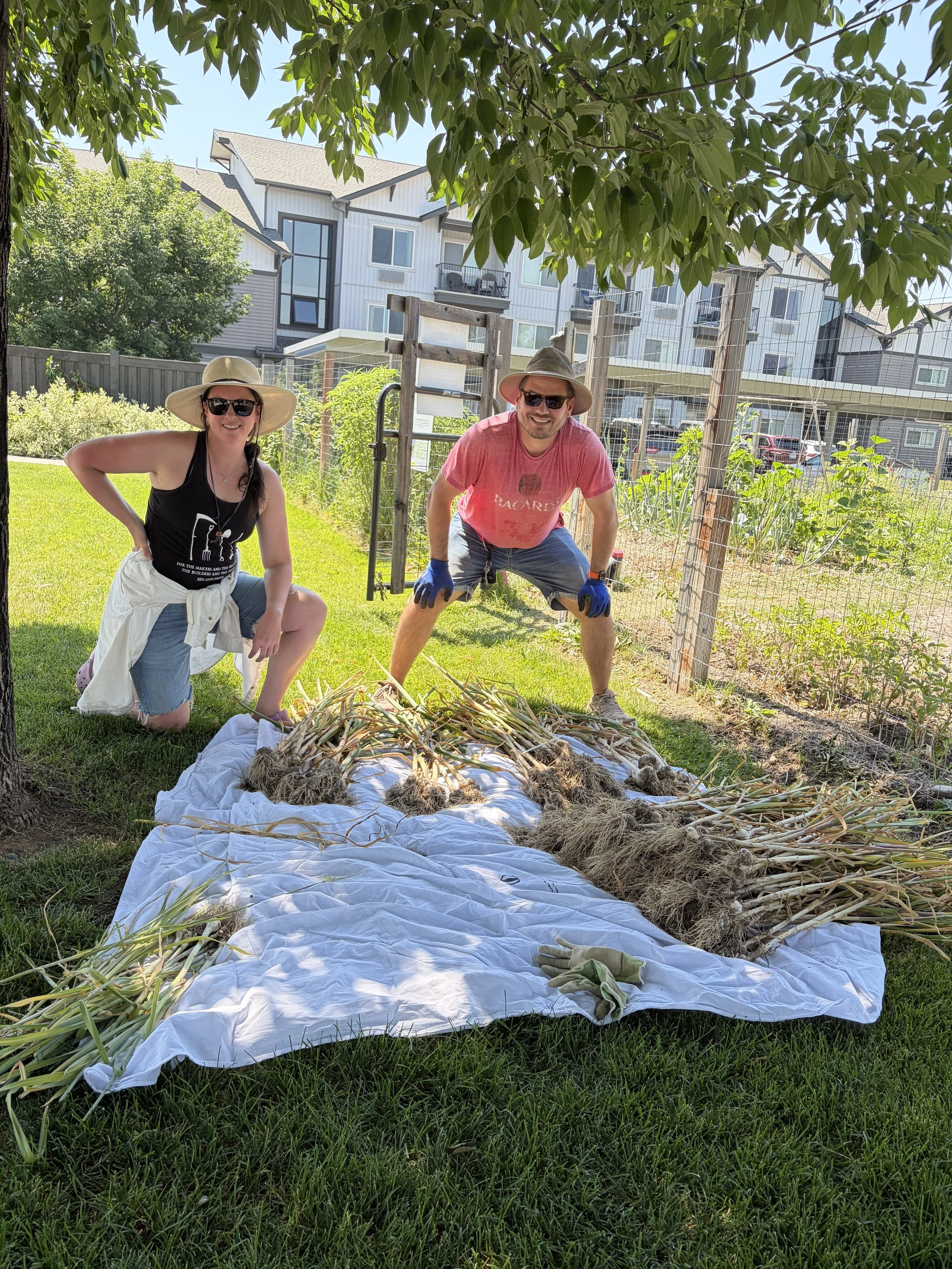 Milwaukee Trail gardener Peter Zalewski poses with a bounty of garlic harvest next to the garden