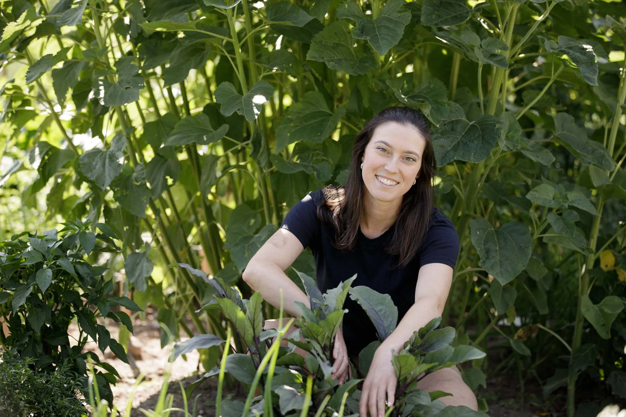 Planted Here: Garden City Harvest's Plan for 2026–2028