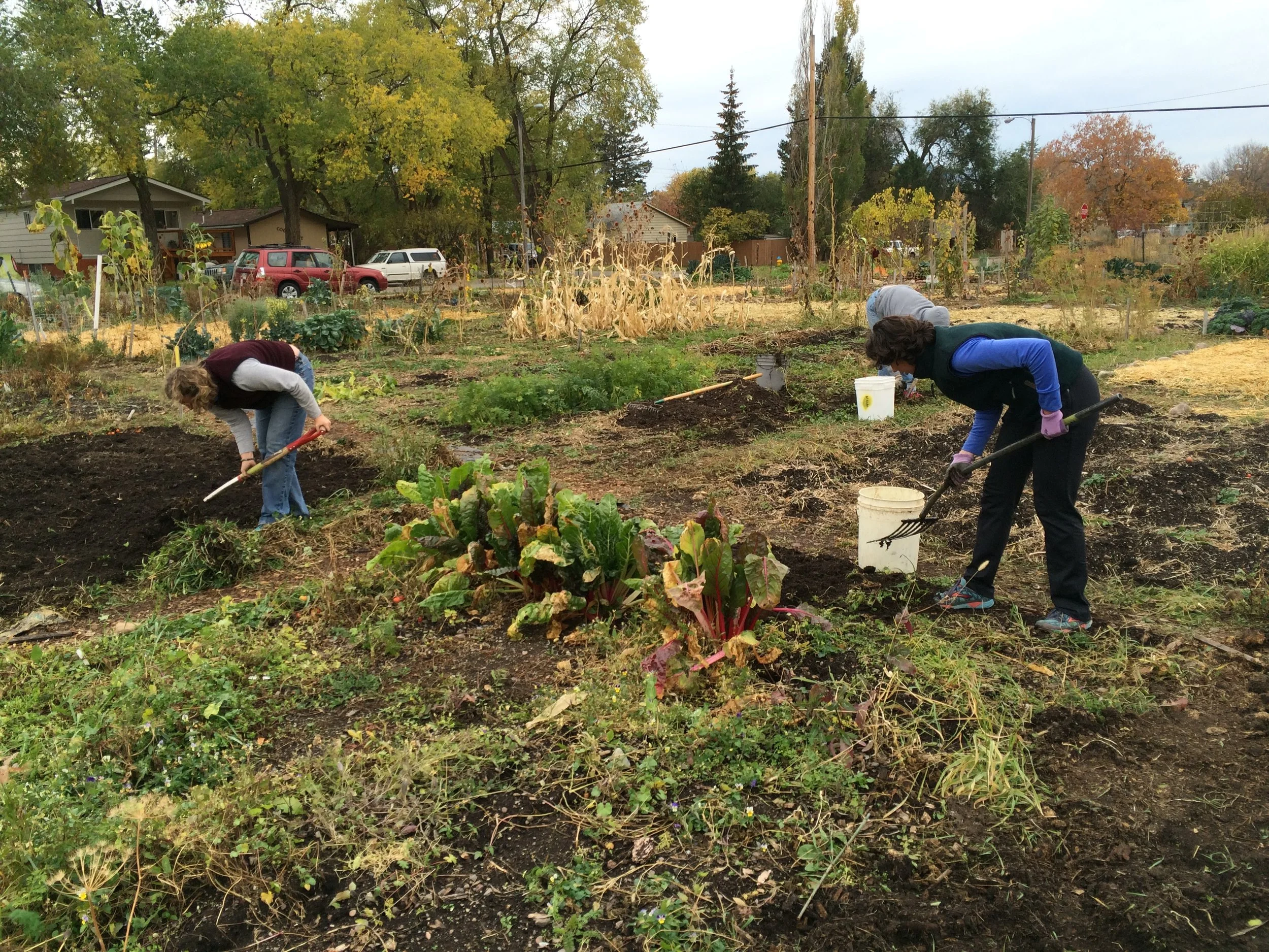 Community Gardens Closing Day