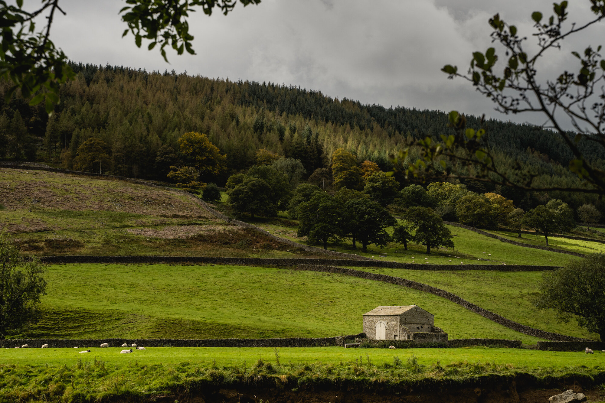 Appletreewick - North Yorkshire Countryside