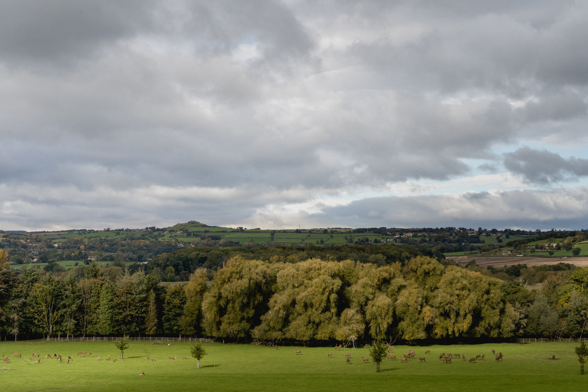 Harewood and Almscliffe Crag View