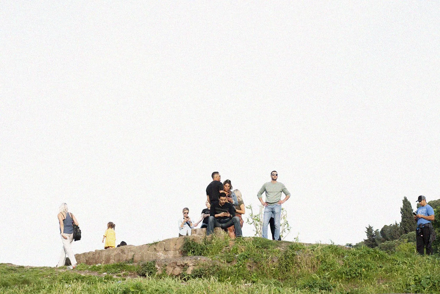 _DSC0260 copy.jpg