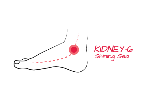 Red_Kidney6.png