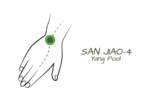 San Jiao 4- Yang Pool One of the strongest points of the San Jiao, it invigorates our yang, motivating life force, energy. Because the energy of the San Jiao is connected to all areas of the body, it is able to get this life force energy to the right places. Think of replenshing yourself in a pool of vitality and strength.