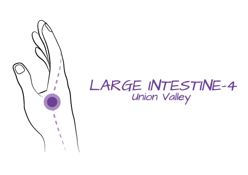 Large Intestine 4- Union Valley A strong point to tap into the power of the Large Intestine channel, it helps us to eliminate and let go of thoughts, experiences and beliefs in ourselves that are not nourishing us. It is also a point to clear the head and a well-known point for headaches, helping us release any stagnate thinking or beliefs that cloud our perception of self.