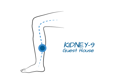 Kidney 9- Guest House This point is on the Kidney channel which taps into the energy of stillness and a deeper sense of faith in something bigger. Because this point also connects to the energy of the Heart, it helps soothe our spirit and promotes quality sleep. As the name suggests, using this point we are able to step into our life with non-judgemental observation, as if we could be a guest to our own life, and see it through the eyes of someone new.