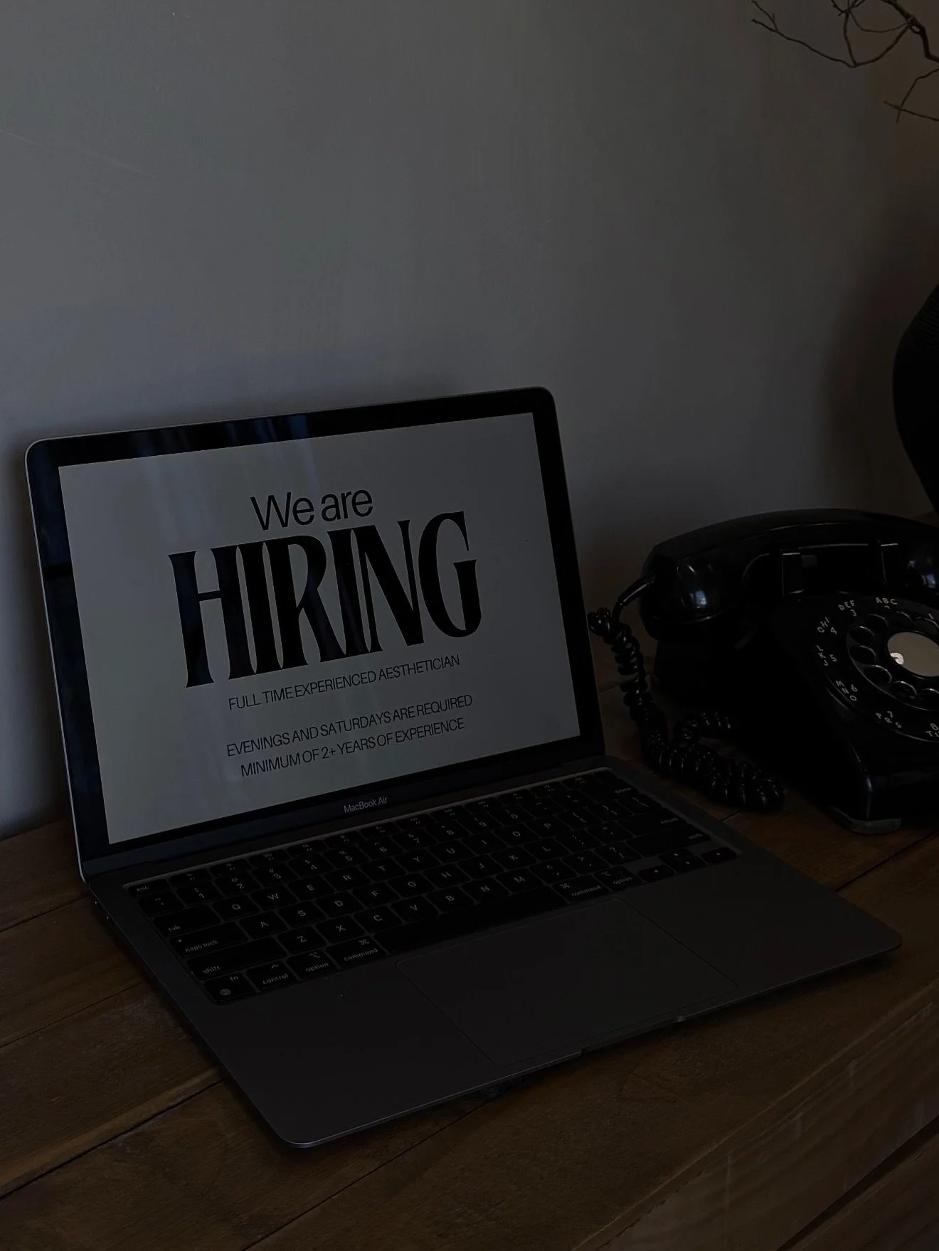 As many of you know, Blossom has expanded and we&rsquo;re looking for an experienced aesthetician to join our team.

&bull; 2+ years of hands-on experience
&bull; Availability for a minimum of two Saturdays per month and evenings.

If you&rsquo;re pa