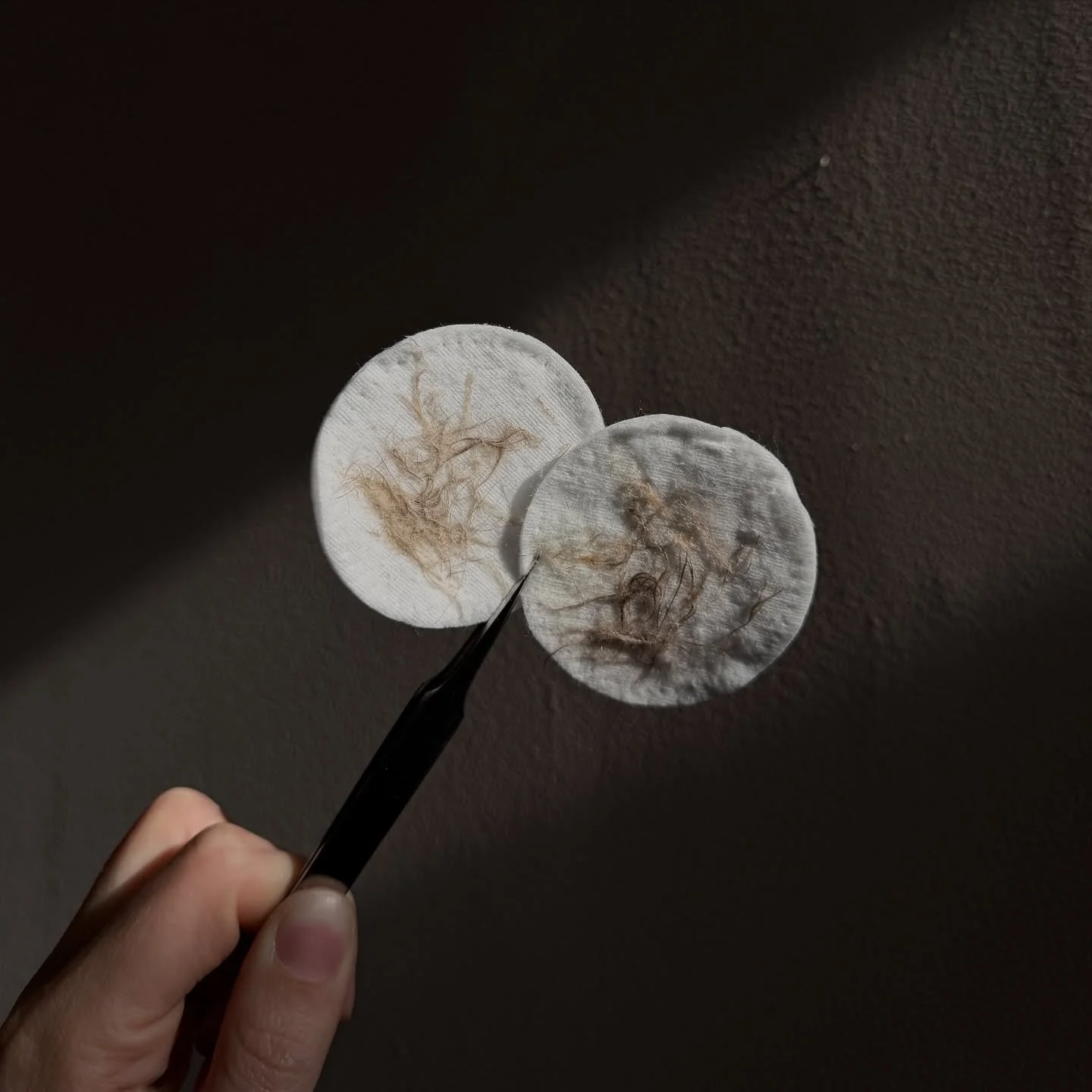 gimme alllll the post dermaplane fuzz 😍

📞 717.900.1390 | #BlossomYork