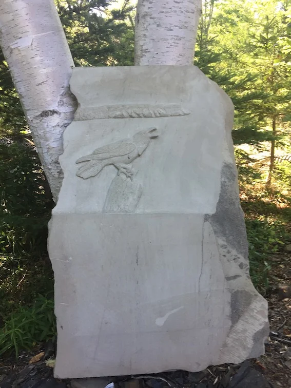 Cape Blomidon Raven - Sold