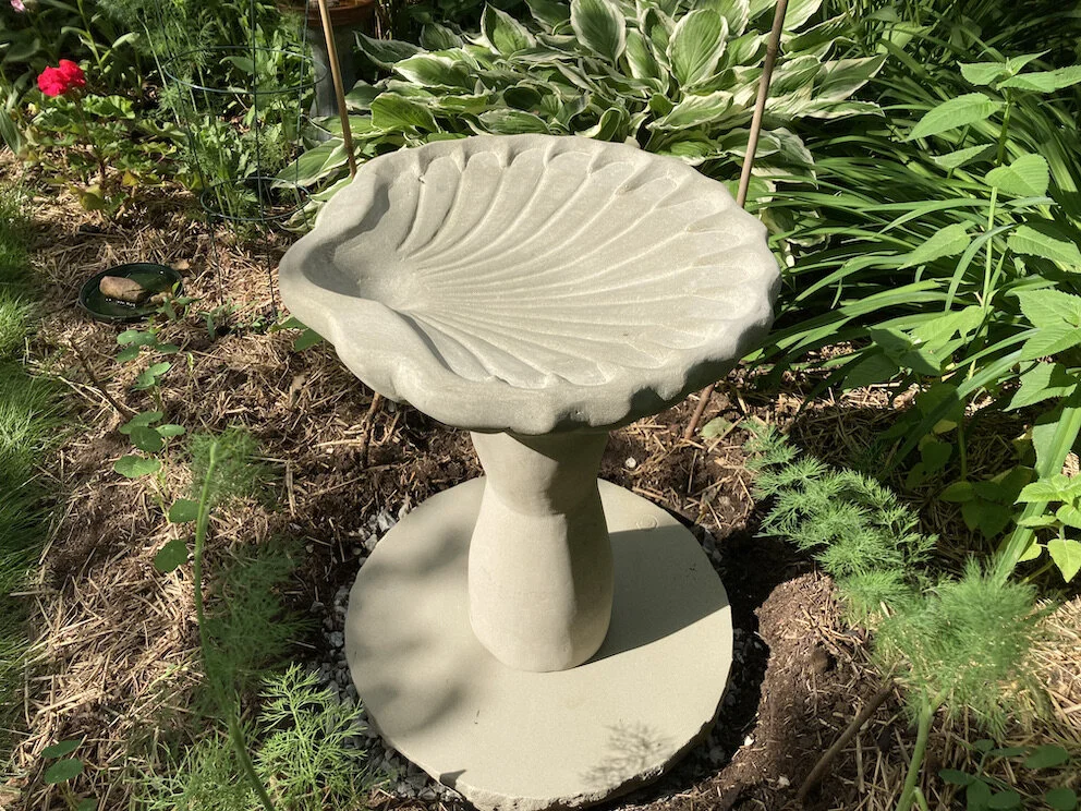  Scallop Shell Birdbath 